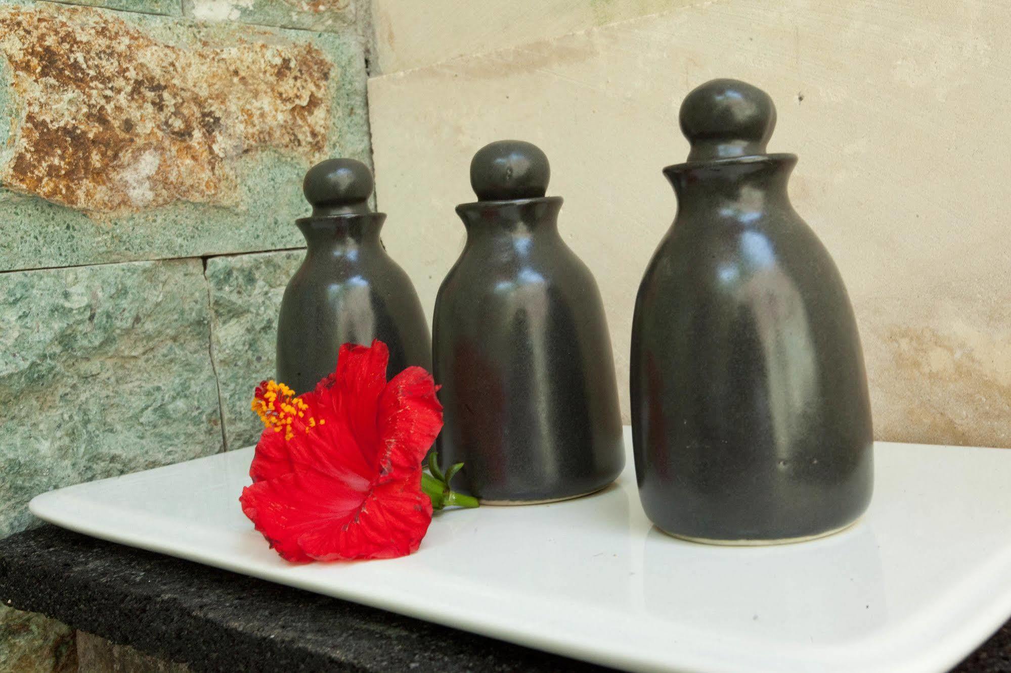 Segening Villa Ubud (Bali)